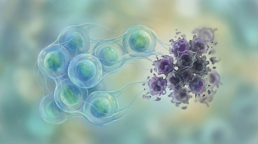 Prostate Cancer Risk